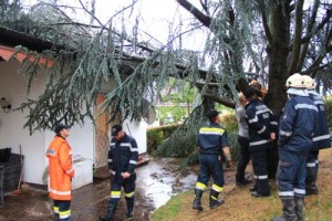 Unwetter in Proleb