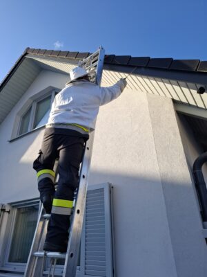 260727 – Insektenbekämpfung